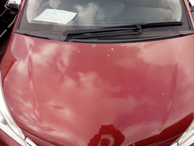 ヴィッツボンネットクリアー剥がれ